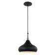 Phoenix 1-Light Small Pendant Matte Black with Polished Nickel Cheap