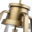 Everett 1-Light 18-in Pendant Natural Brass with Clear Glass on Sale