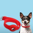 AirTags pet collar design silicone strap - Cyan on Sale